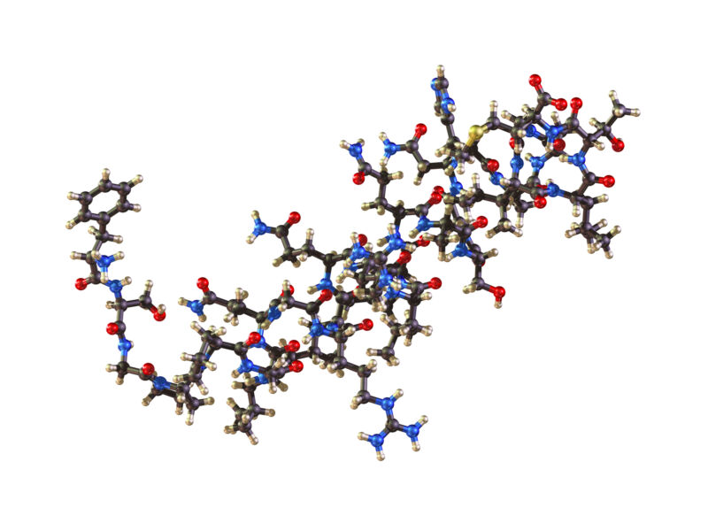 Image of a very large and complex molecule.