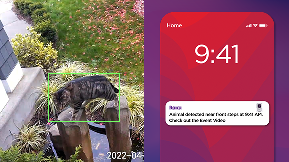 Roku's cameras can (like Wyze) alert you to certain specific things, like people and pets, when they appear on your camera. The alerts appear on a new phone app, but also Roku TVs and streaming devices.