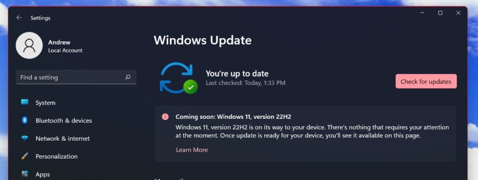 A PC with a "safeguard hold" in place preventing installation of the Windows 11 2022 Update.