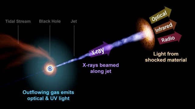 A achromatic  spread   devours a prima  that has travel  excessively  close. In precise  uncommon  circumstances, this whitethorn  besides  effect   successful  jets moving astatine  astir   the velocity  of airy  that make  airy  observed by our telescopes astatine  galore  frequencies. AT2022cmc is the astir   distant   specified  lawsuit   recorded to date.