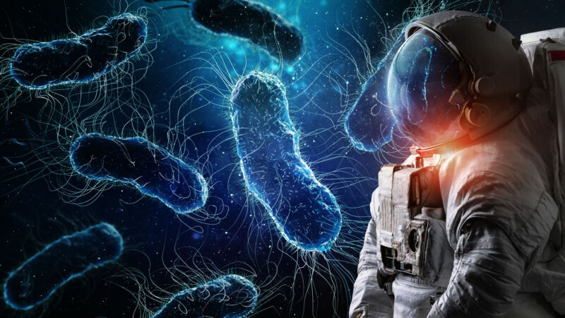 Online News The mysteries of the astronaut biome