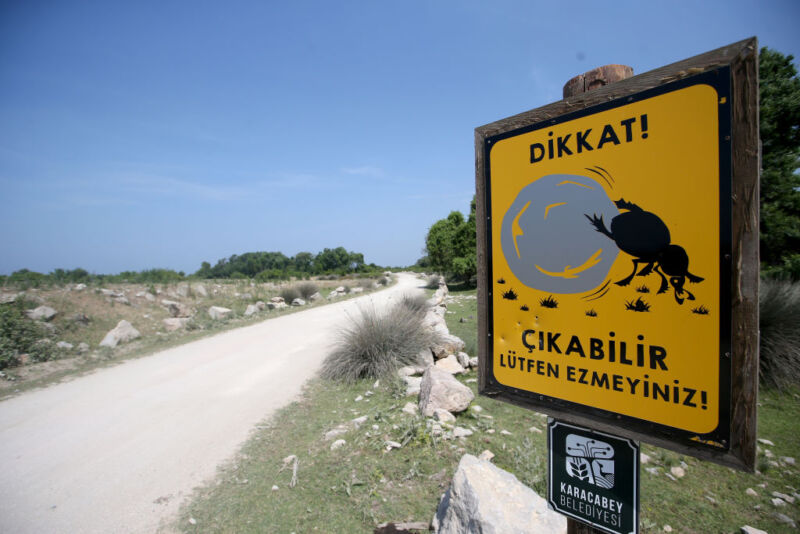 A road sign in Bursa, Turkey, warns drivers of the presence of dung beetles, stating 