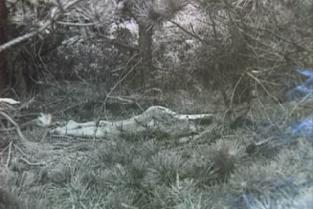 The body of Ruth Marie Terry as she was found in 1974 in Provincetown, Massachusetts.