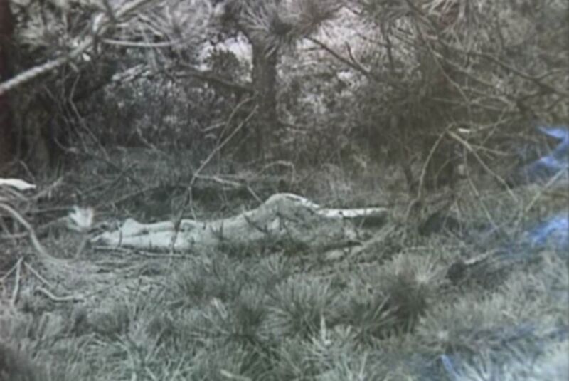 Remains of Ruth Marie Terry as she was found in 1974