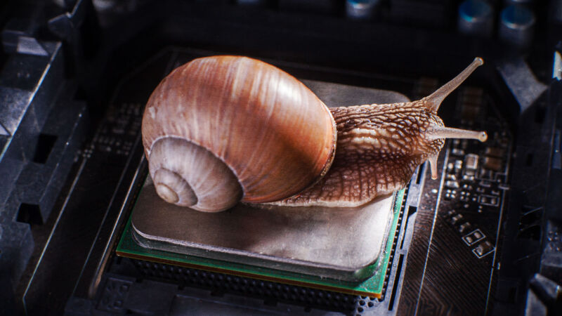 Un caracol en una CPU
