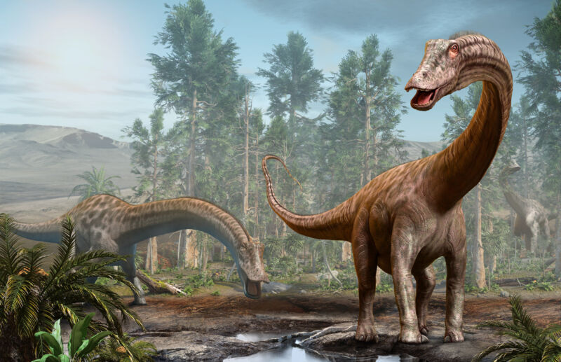 Image of two large, long necked dinosaurs in a forest.