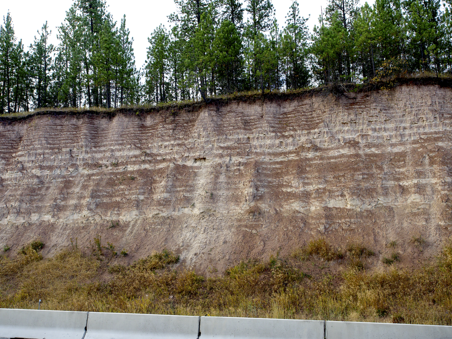 Zebra stripes in a deposit that once formed on the lake bottom.