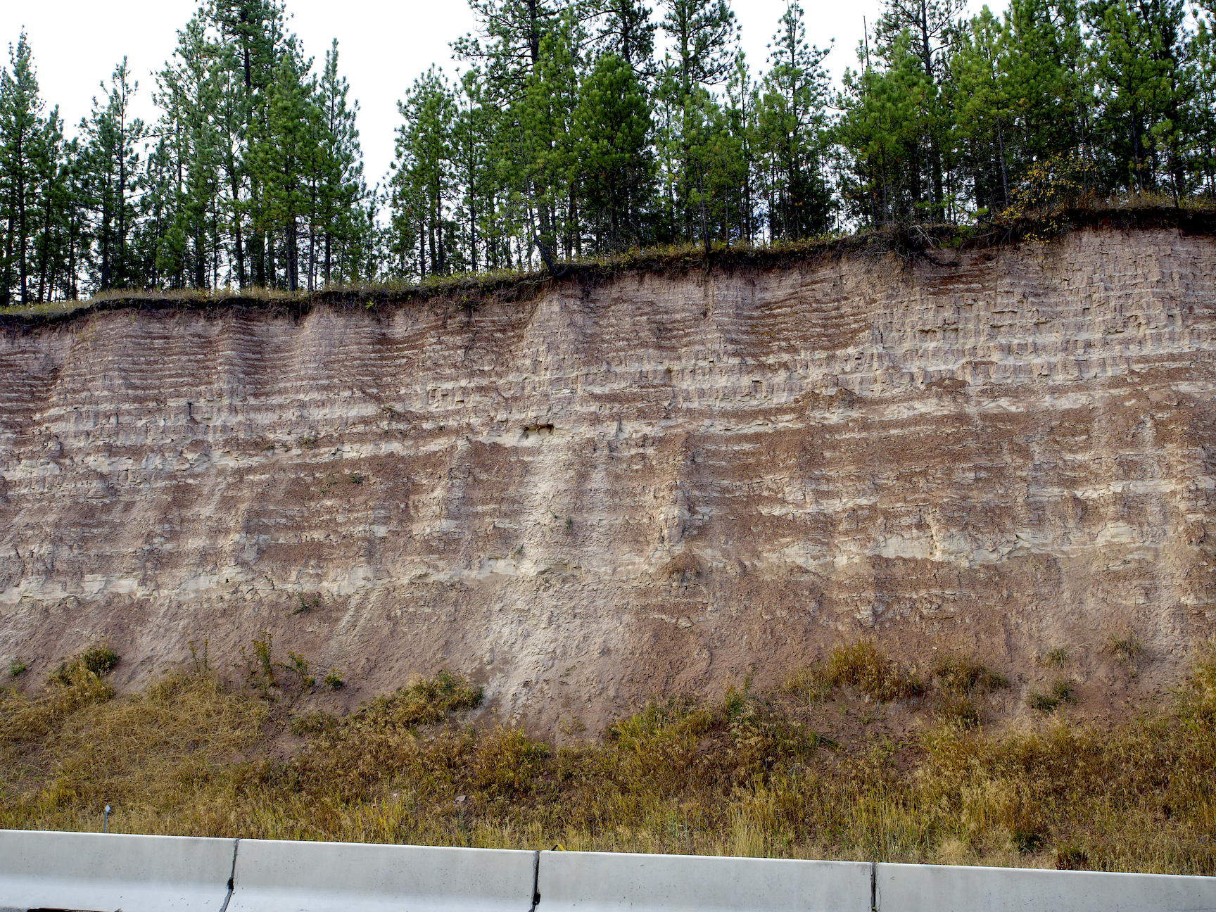 Zebra stripes in a deposit that once formed at the bottom of the lake.