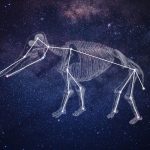 A mastodon seen as a constellation in the night sky.