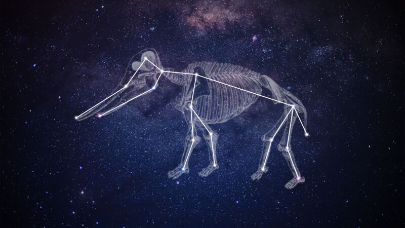 A mastodon seen as a constellation in the night sky.