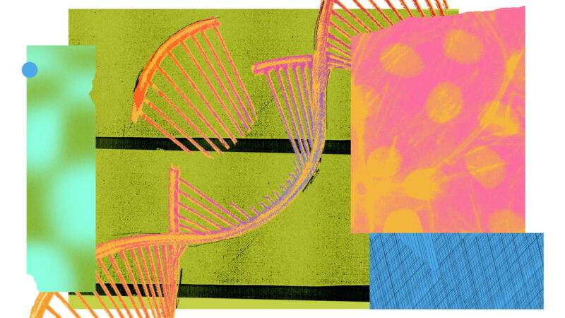 CRISPR квест на убийство Эми Донегол