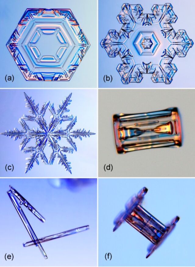 Examples of snowflakes of different shapes: (a) a simple plate, (b) a stellar plate, (c) a stellar dendrite, (d) a stout column, (e) several slender columns, and (f) a capped column