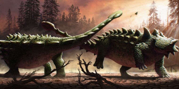 新しい発見はアンキロサウルスの尾の峰が互いを打つことだったことを示唆します