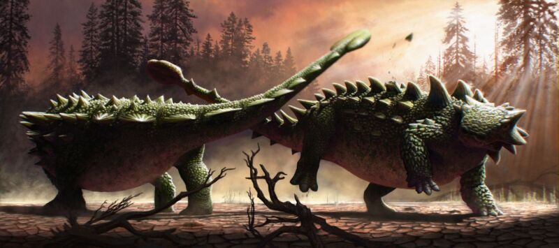 Image of two crouching dinosaurs circling each other and wagging their tails.