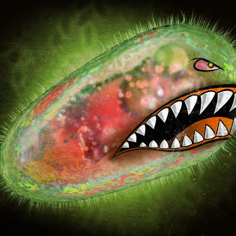 Predation Microbe Author: Diana Gitig - Ars Technica