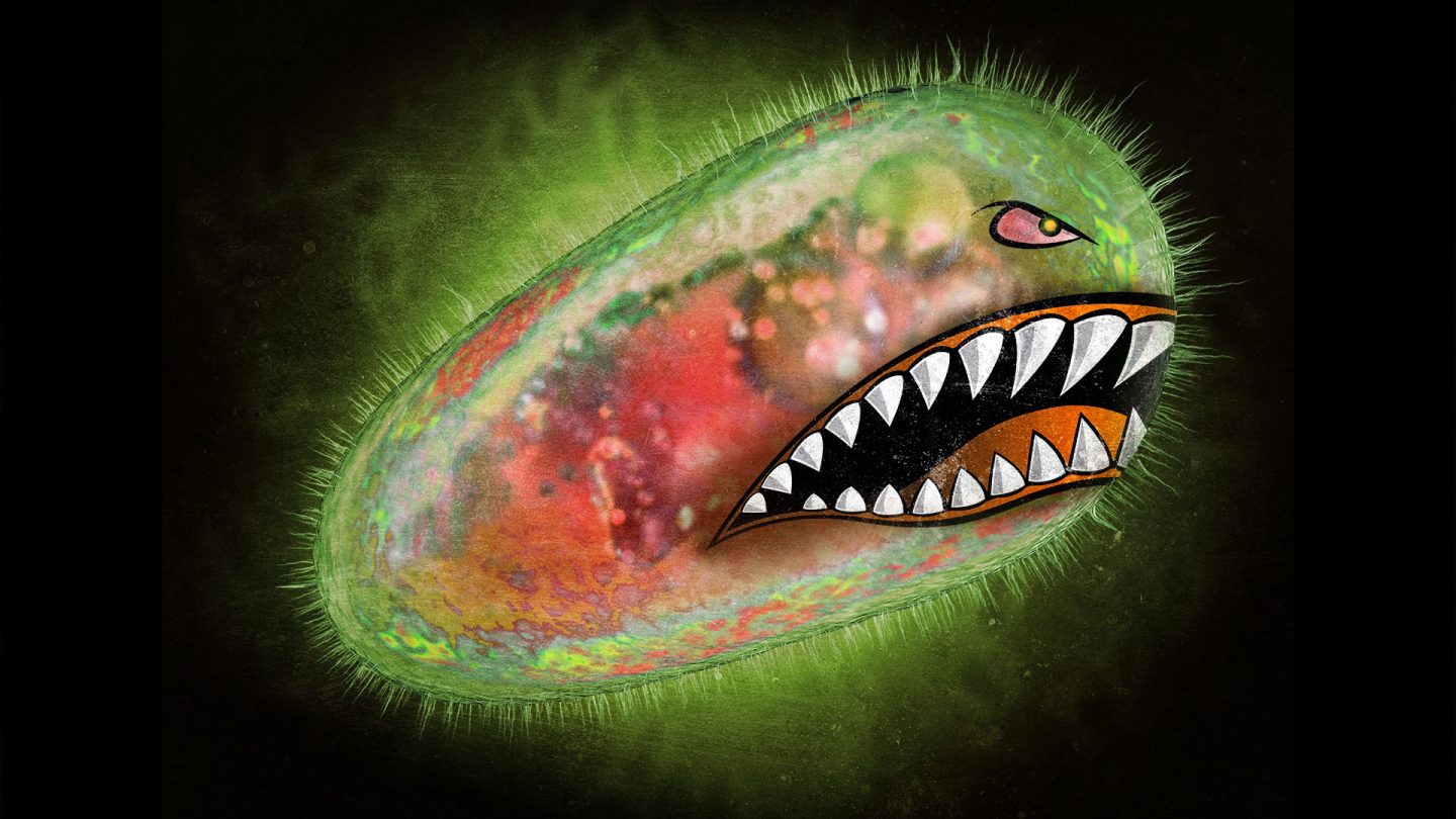 Scientists discover a new supergroup of rare single-celled predators ...