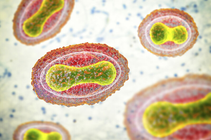 Illustration of a smallpox (smallpox) virus