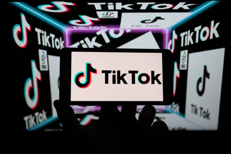 Decades-old law forms biggest obstacle to nationwide TikTok ban, lawmaker says