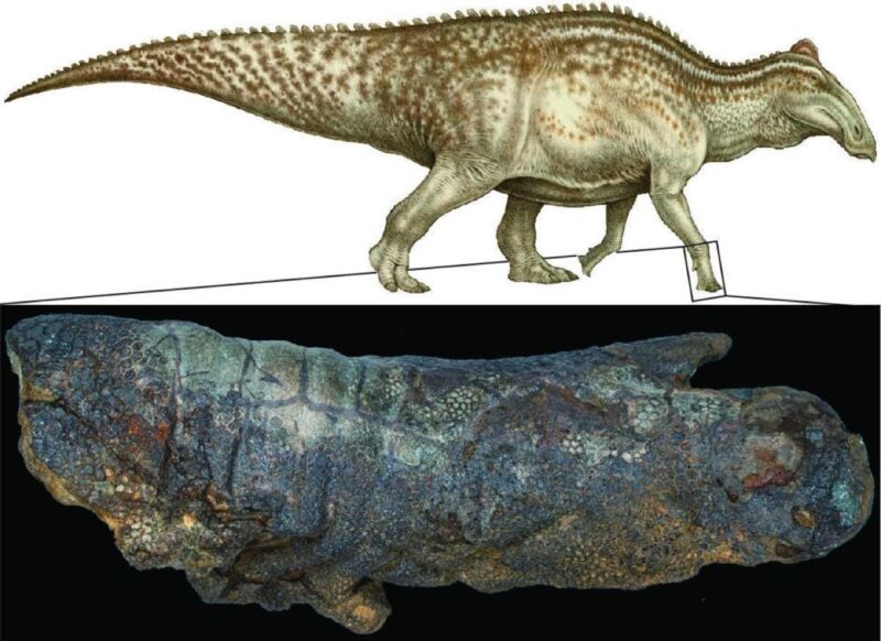 Reconstrucción a todo color de la vida de <em>edmontosaurus</em>.”/><figcaption class=