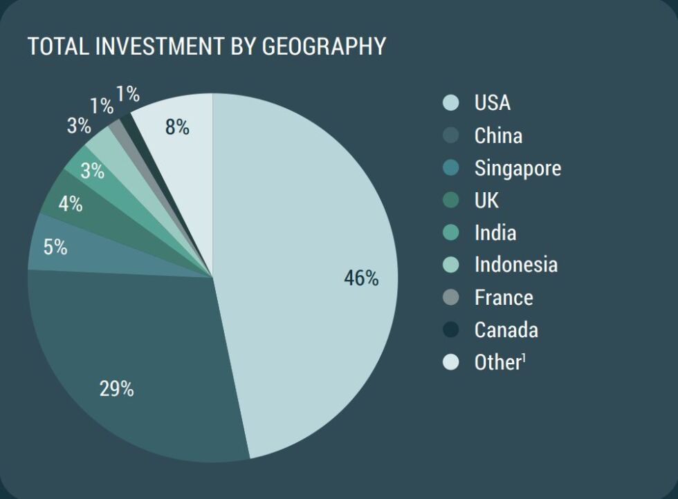 Investments in the space economy based on the origin of the investments.