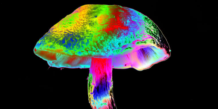 New mechanism proposed for why some psychedelics act as antidepressants