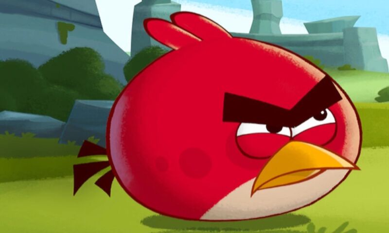 Angry bird is angry.