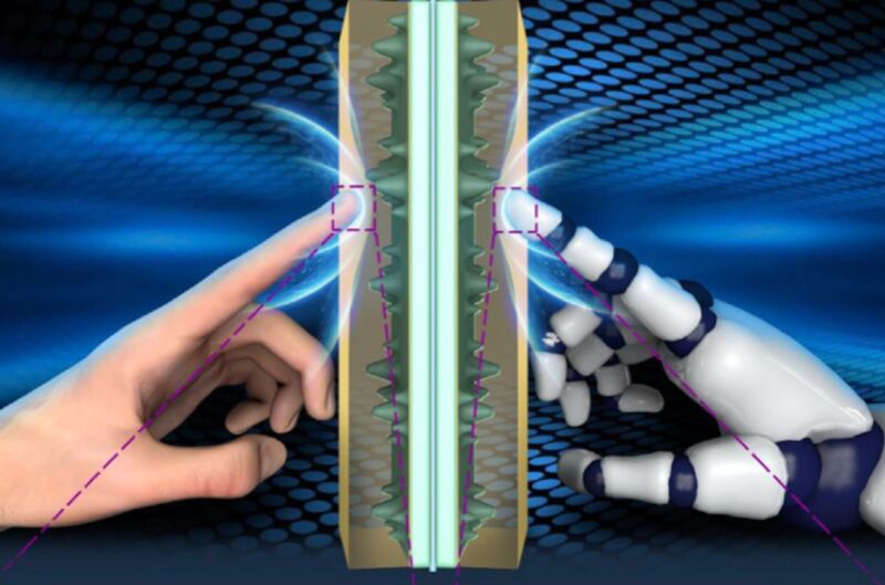 Иллюстрация человеческого пальца и бионического пальца, прижимающегося к субстрату между ними