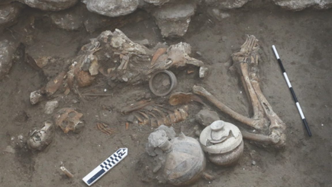 Study: Bronze Age remains in Israel show signs of trepanation - Ars Technica