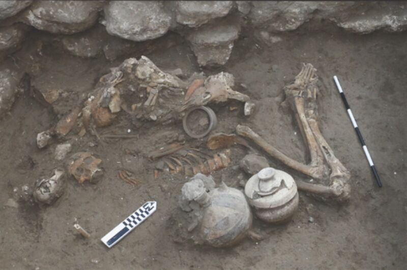 Bioarchaeological context of this study
