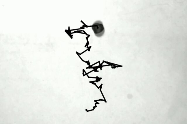 Example of experimental data: a photograph of a bean overlaid with that bean's trajectory over time. 