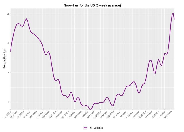 Positividad de la prueba de norovirus.