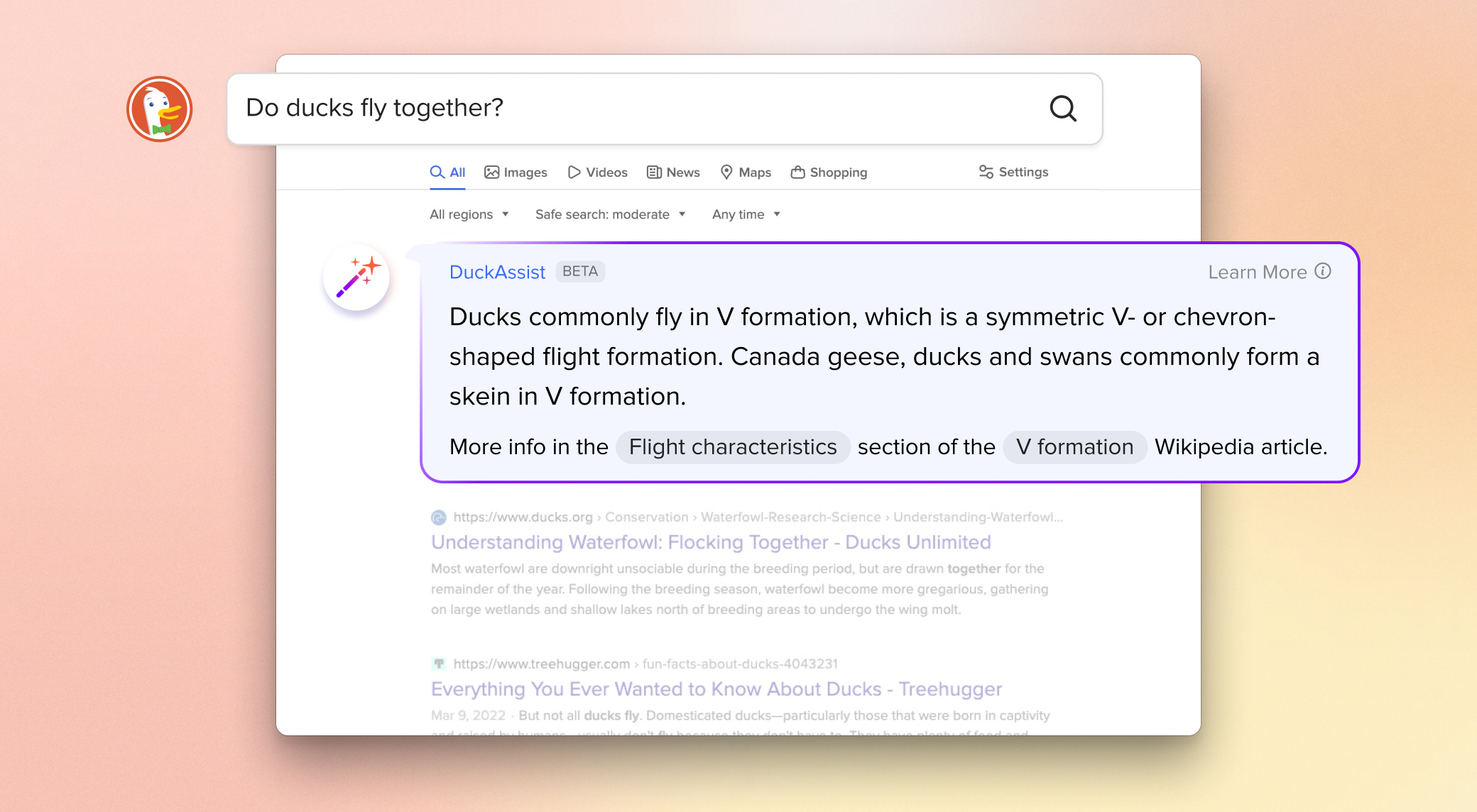 Ny ankomst Foto lufthavn DuckDuckGo's new Wikipedia summary bot: “We fully expect it to make  mistakes” [Updated] | Ars Technica