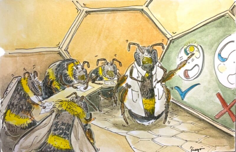 Pszczoły uczą się tańczyć i rozwiązywać zagadki od swoich rówieśników – Ars Technica