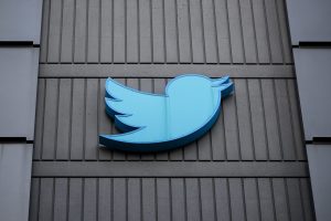 Operation Bluebird wants to relaunch Twitter