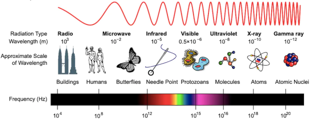 Diferentes telescopios capturan diferentes partes del espectro electromagnético, con radiotelescopios recolectando radiación de las longitudes de onda más largas.