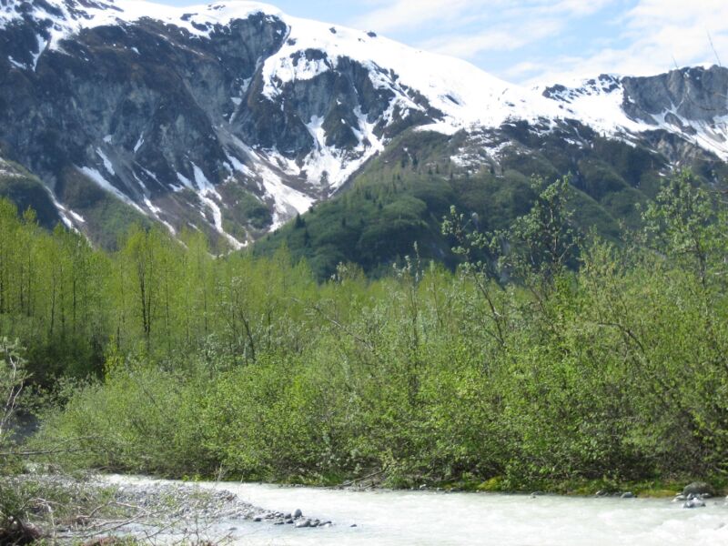 Wolf Point Creek is likely the most-well-studied glacier-fed stream in the world.