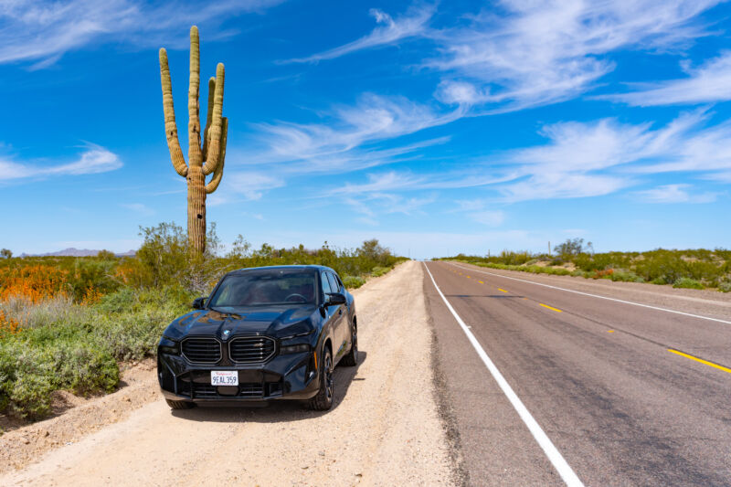 A BMW XM next to a very large Saguro cactus