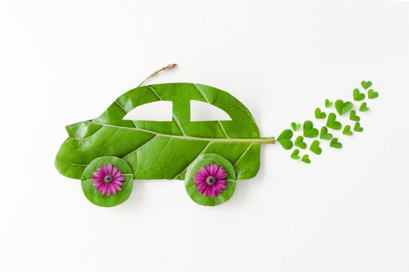 A car made of leaves