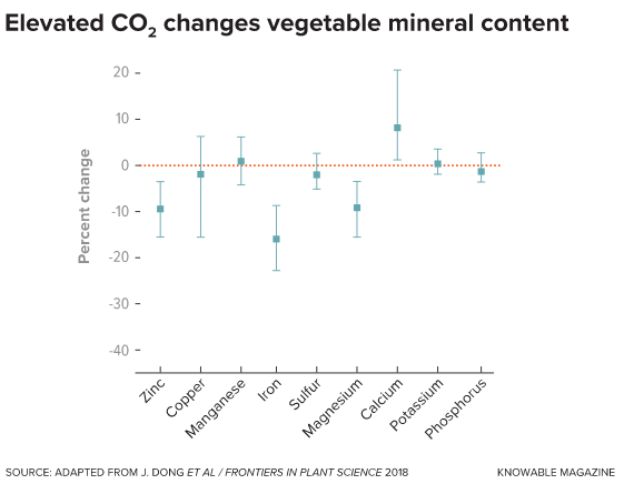 When vegetables are grown under elevated levels of carbon dioxide, they typically get bigger and sweeter and may have more of some minerals, such as calcium, an analysis of several different studies found. But quantities of other minerals, including zinc and iron, can go down.