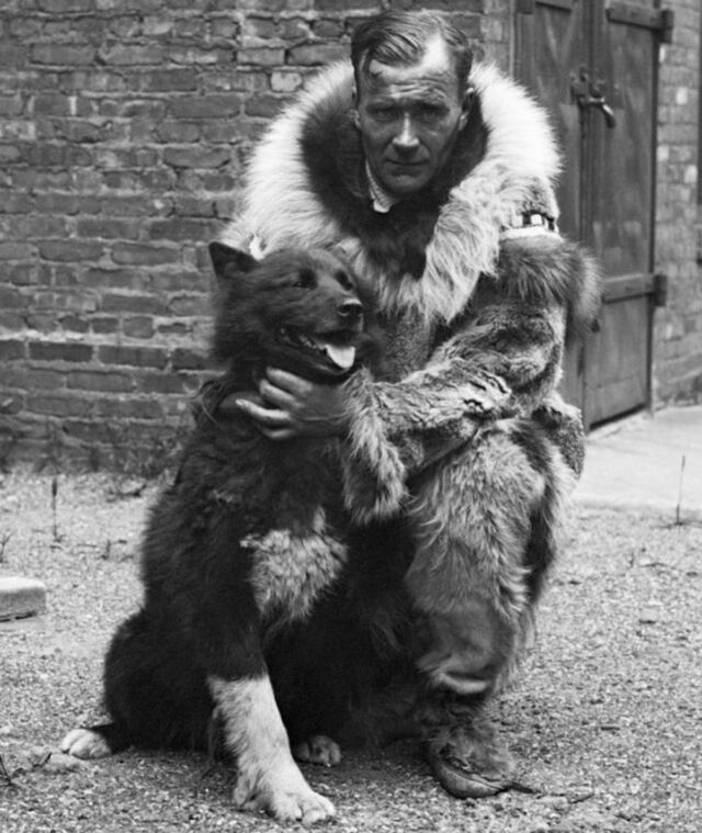 "Damn fine dog": Balto with Gunnar Kaasen, his musher, after the 1925 Serum Run.