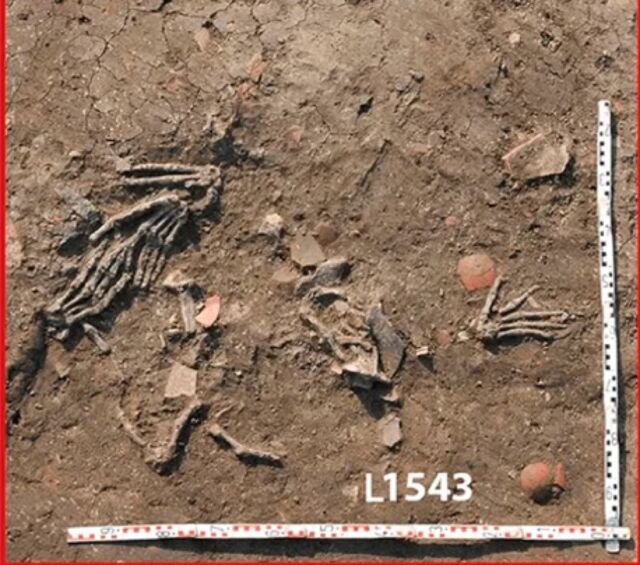Descripción general de las manos derechas amputadas descubiertas en Pit L1543.