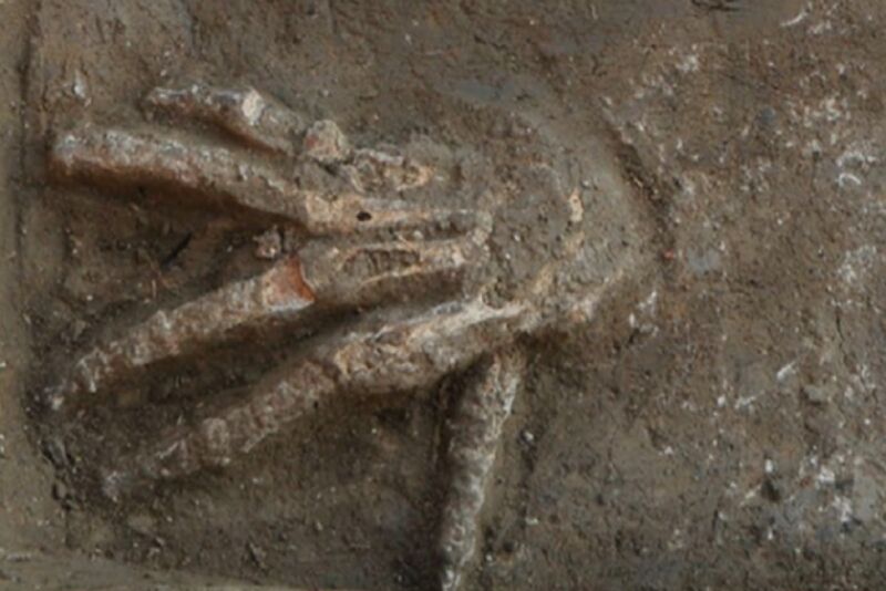 close up of a severed skeletal hand