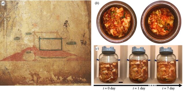 (a) Onggi je zobrazen na nástěnné malbě v hrobce z království Goguryeo (37 př. n. l. – 668).  (B) Pohled shora na kimchi uvnitř onji před (vlevo) a po (vpravo) fermentací.  (c) Boční pohled na fermentované kimchi ve skleněné nádobě po dobu sedmi dnů při 30 °C.