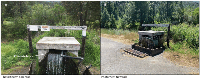 FIGURE. Watering point A, before any intervention (A) and after the water supply was permanently turned off (B) — Montana, 2022