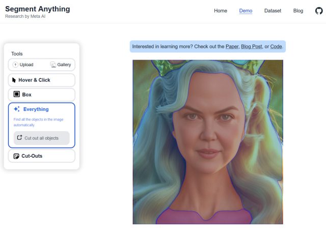 A screenshot of Meta's Segment Anything demo website, isolating "Everything" in the image.