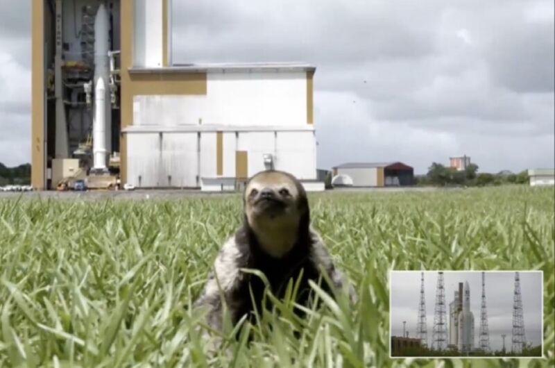 Screengrab of sloth from ESA telecast