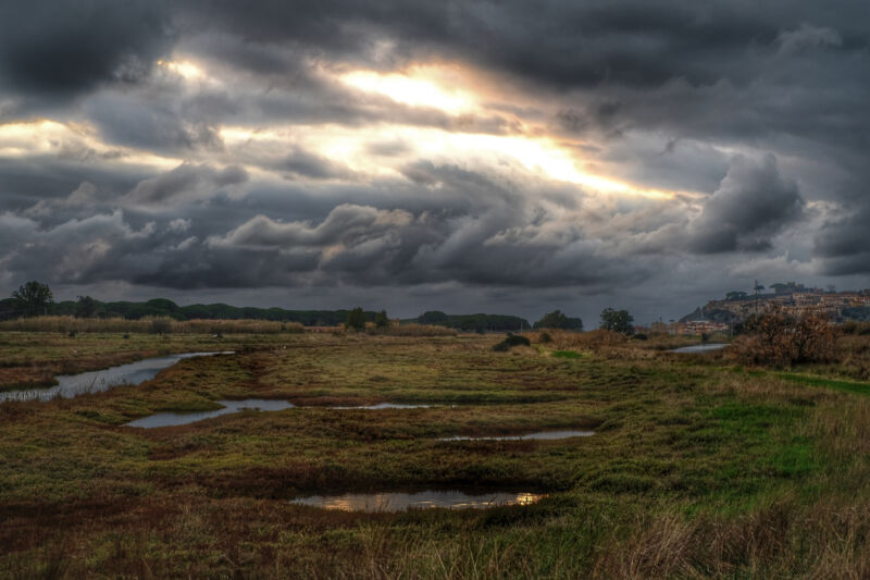 Cloudy skies and a marshy area with a stream running through it.