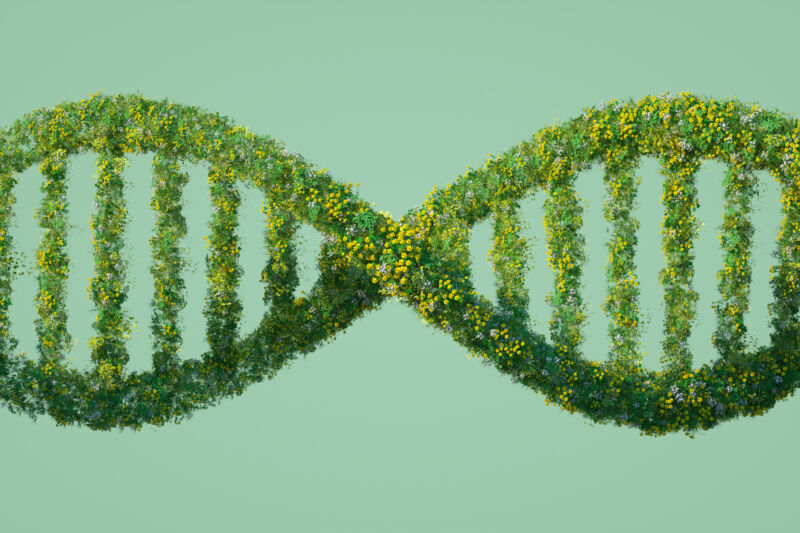 Image of a DNA molecule formed from shrubbery.