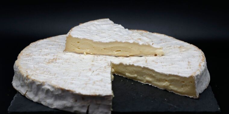 photo of The curious case of the brie made from nuts that caused a multi-state outbreak image