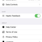 The ChatGPT app settings allow basic changes similar to the website version.